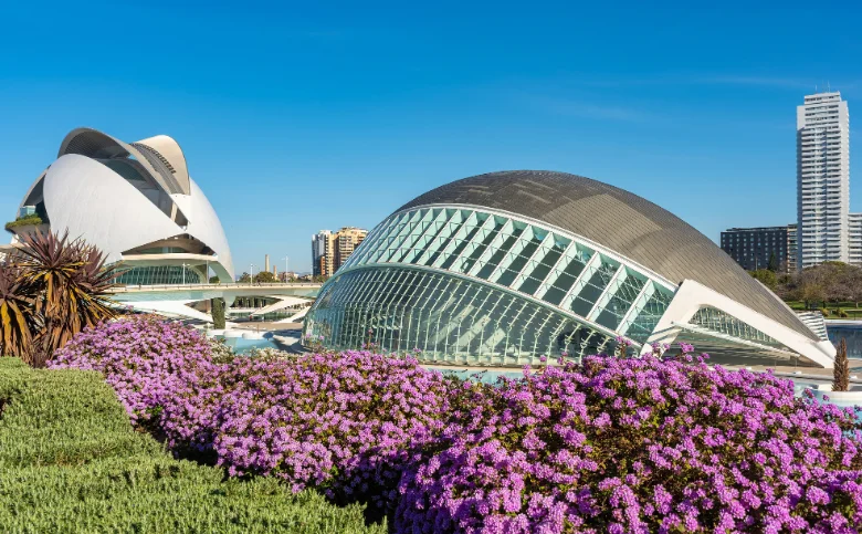 Curso Valencia 11-14 Febrero 2027